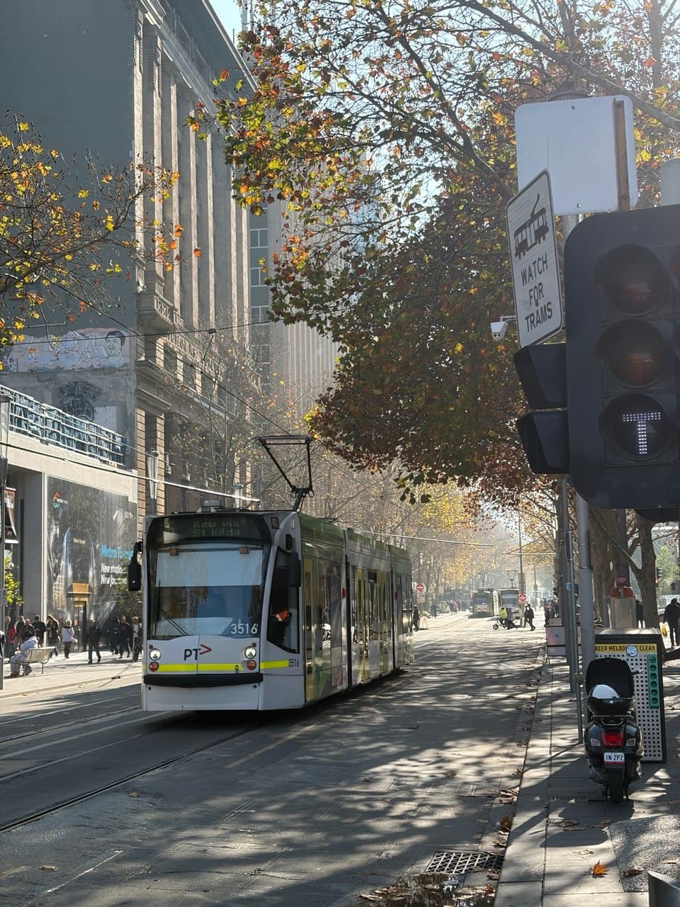 A Melbourne tram on a tree-lined city street, a subject during the photography course walk through the CBD