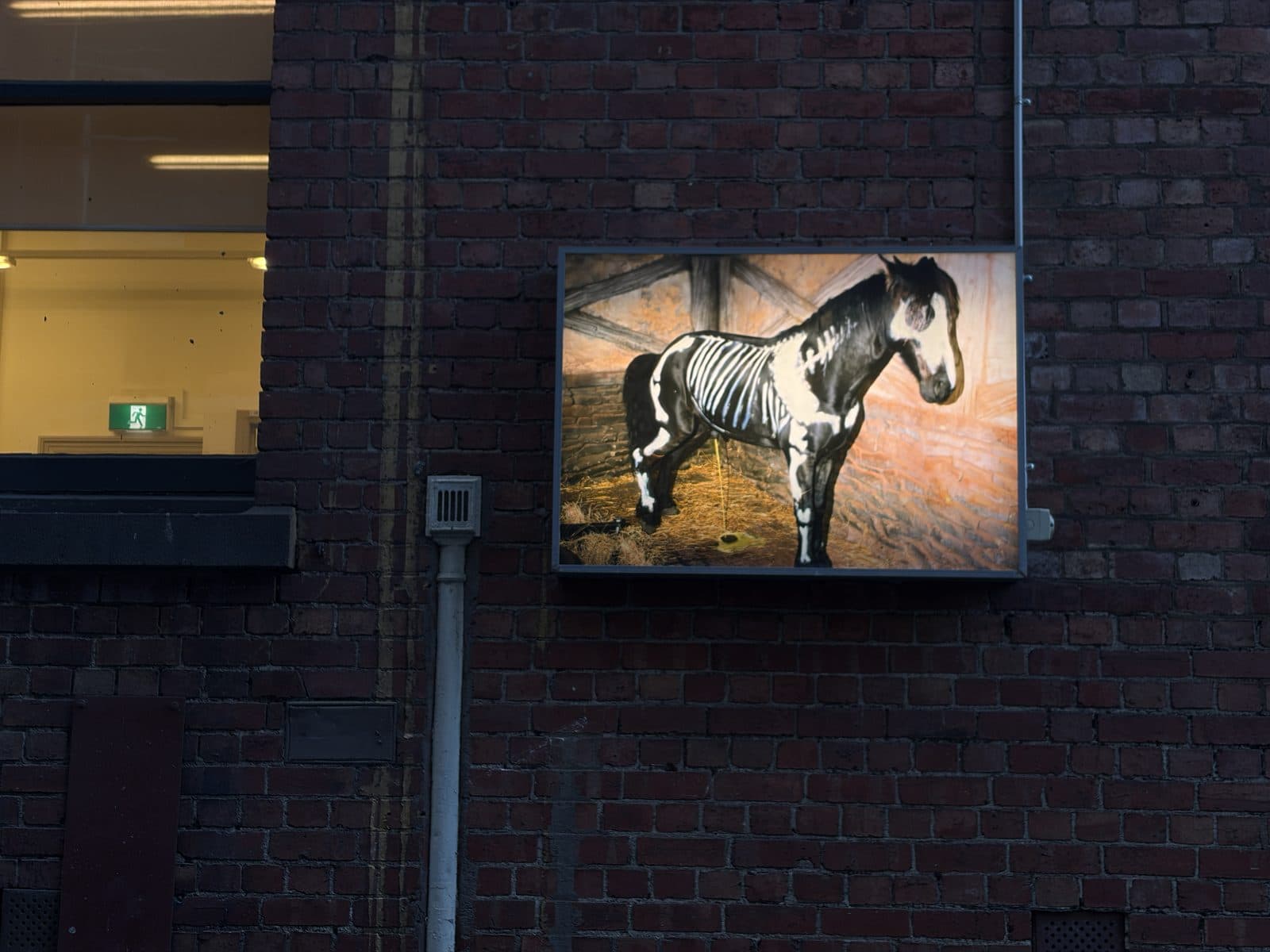 A backlit lightbox artwork of a painted horse mounted on a brick wall in a Melbourne street, seen during the photography course